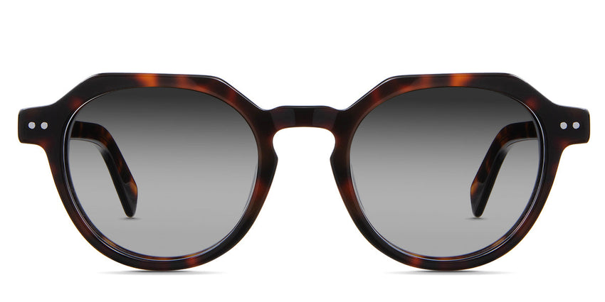 Ellis Black Sunglasses Gradient in caretta variant - is a full rimmed frame with high nose bridge and built in nose pads. It's 145mm temple arm has visible rivets design